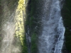 Waterfalls: Akshour - 11 IMG_8815