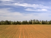 Agricultural Landscapes - 4